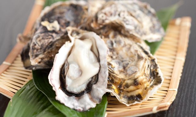 5 Oyster Myths You Need to Know Mac s Raw Bar